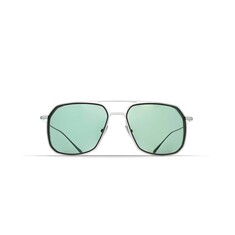 BRETT LOUIS SUN C31 55 Sunglasses 