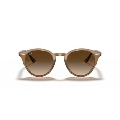 RAY-BAN Round 2180 616613 49 Kahverengi Unisex Güneş Gözlüğü 