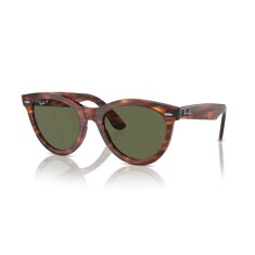 RAY-BAN 2241 954/58 51 Polarize Kahverengi Unisex Güneş Gözlüğü 