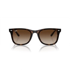 RAY-BAN 4420 710/13 65 Sunglasses 