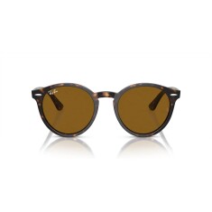 RAY-BAN 7680S 902/33 51 Sunglasses 