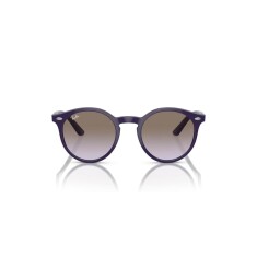 Солнцезащитные очки RAY-BAN 9064S 71634Q 44 