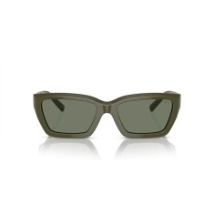 TIFFANY 4213 839882 54 Sunglasses 